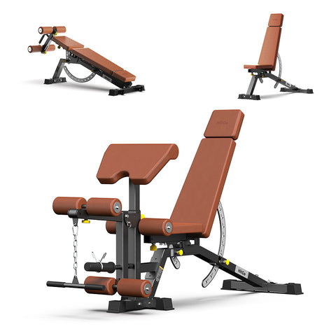 Multi-Function Dumbbell Bench