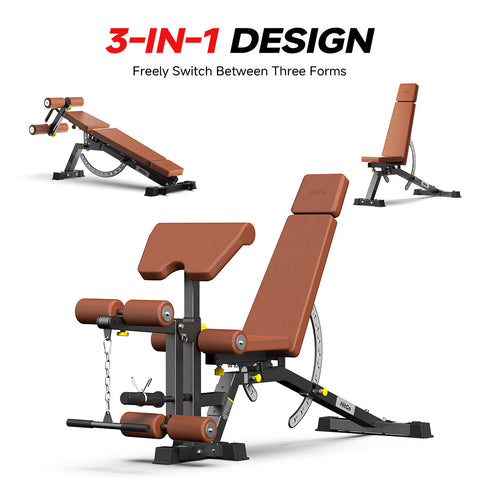 Multi-Function Dumbbell Bench