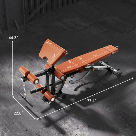 Multi-Function Dumbbell Bench