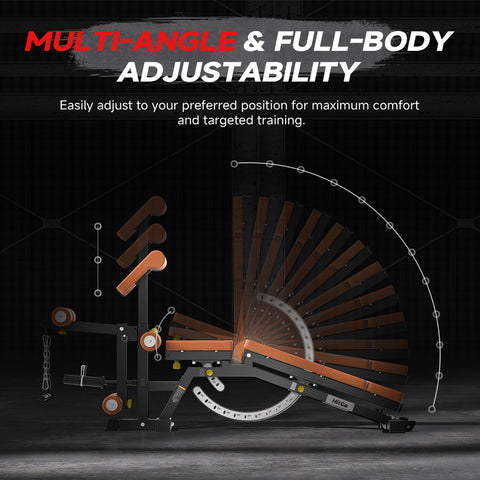 Multi-Function Dumbbell Bench