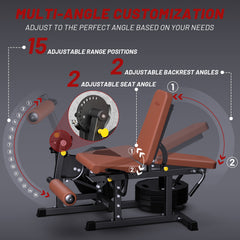 Mate-LE1 Leg Extension and Curl Machine